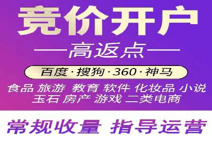 电商SEM推广案例解析
